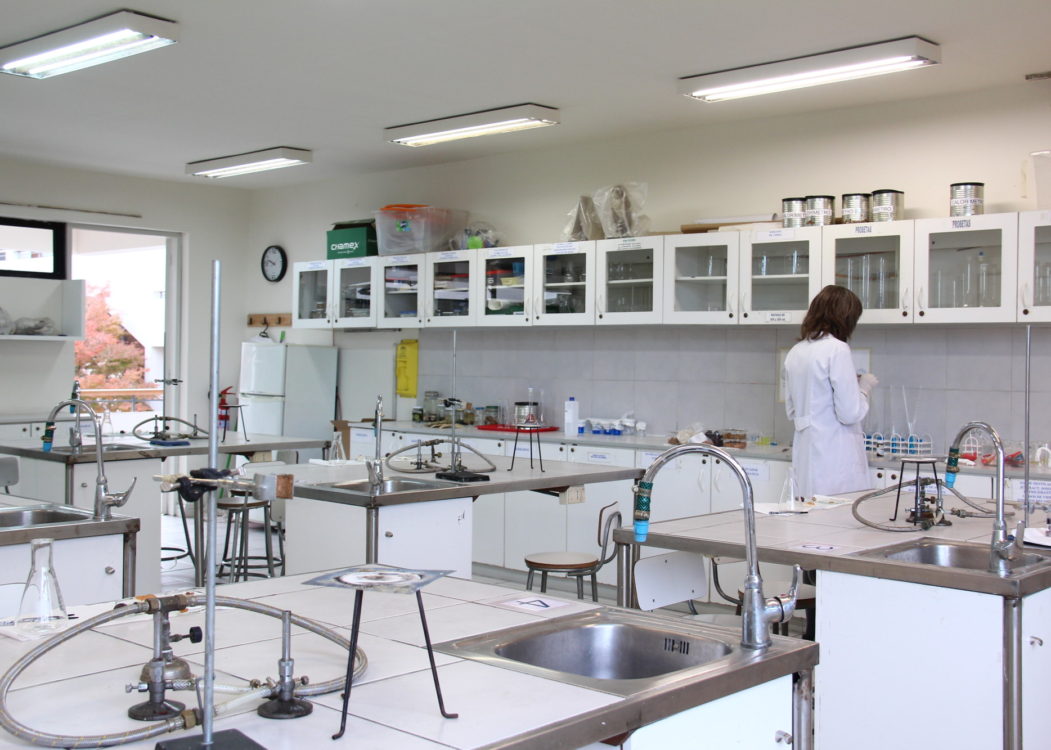 Laboratorio echevarne com