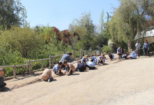 Canales de regadío y represas 1° Básico