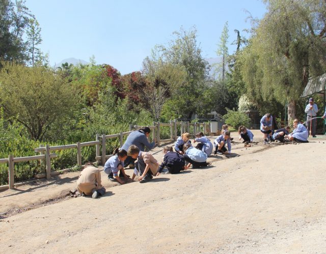 Canales de regadío y represas 1° Básico