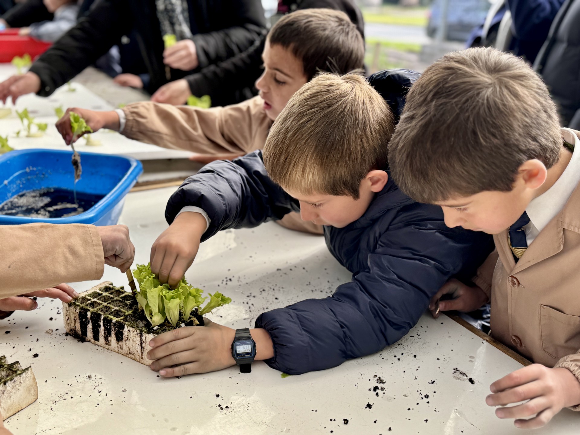 IMG_7202