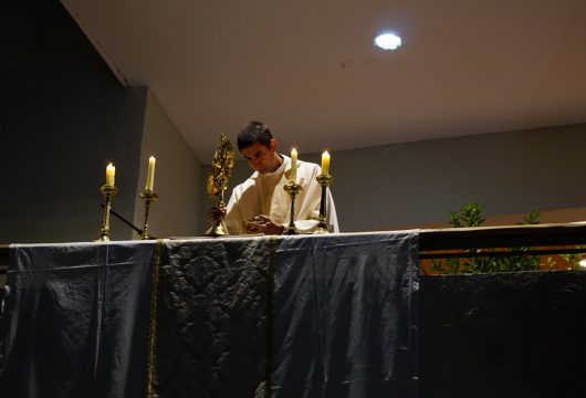 DSC09317 de tamaño grande